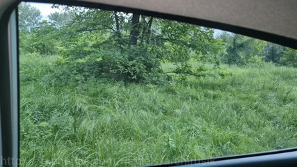 ArchiRusik: Випадковий далекобійник трахається в машині з татом, щоб кінчити!