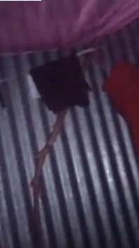 Desi Cock