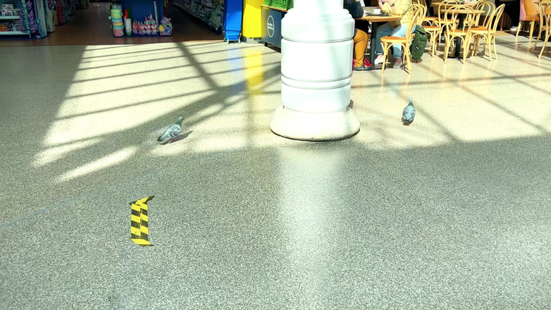 JessieHH: 夏日礼服和胸罩尝试运输 sfw 免费