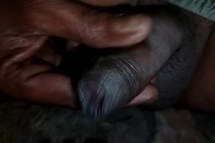 FrozenOpenair8: Bm Brilliant