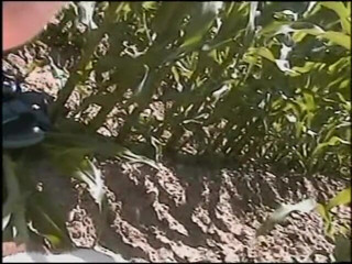 Lucky Cooch: Two amateur chicks ride guy's cock outdoors