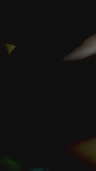 Šukal jsem cizince v přístavu