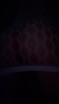 Just My Booty