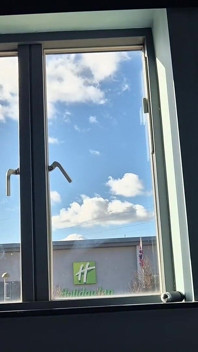 Bambi en la ventana