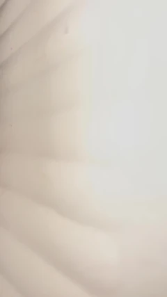Indian Gey