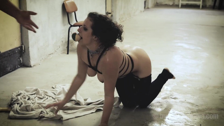 Fetisch by Sextermedia: Petplay - chương trình doggy
