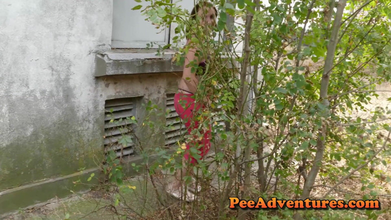 Pee Adventures: Pisci vicino a una pianta elettrica e bussare alla porta.