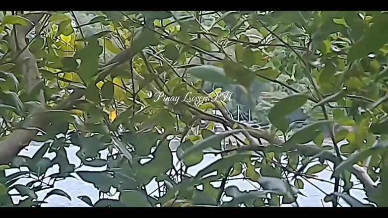 Vixenn Cruz: Stranger Fisherman, knullade mig på stranden, sperma inuti min fitta...