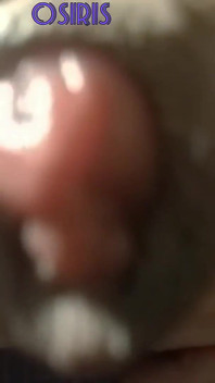 Voglio davvero metterti il mio cazzo in bocca