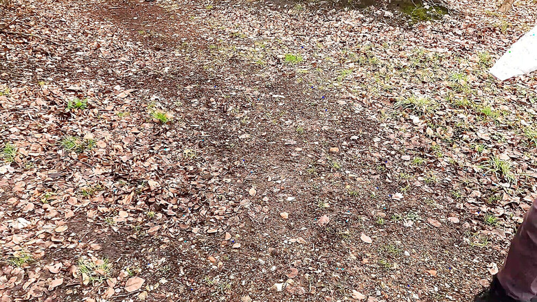 Bouncy Tits Action: Červená prsa u jezera