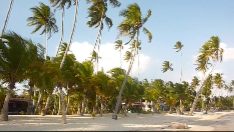 Watch4beauty: Onder de palmbomen