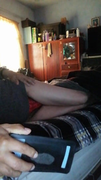 Pichona Peluda