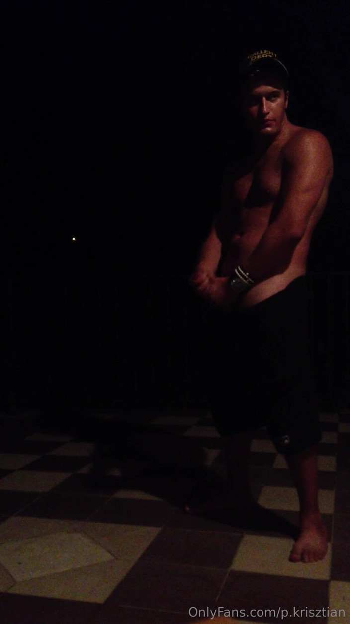 Palko Krisztian: Dick Fap Night