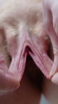 Playing and Stretching My Big Pussy Labia