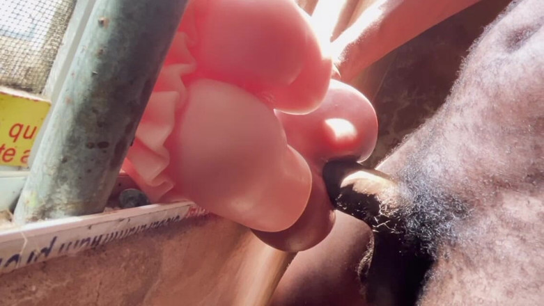 Bangcum8: Hard Man's Sex Videos