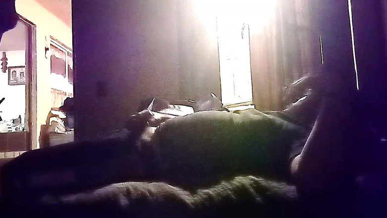 Tetto Michel: My Neighbor's Son Visits Me for Oral Sex in Secret