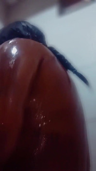 Lil Latina Shower Show Slo-mo