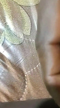 My Videos 3