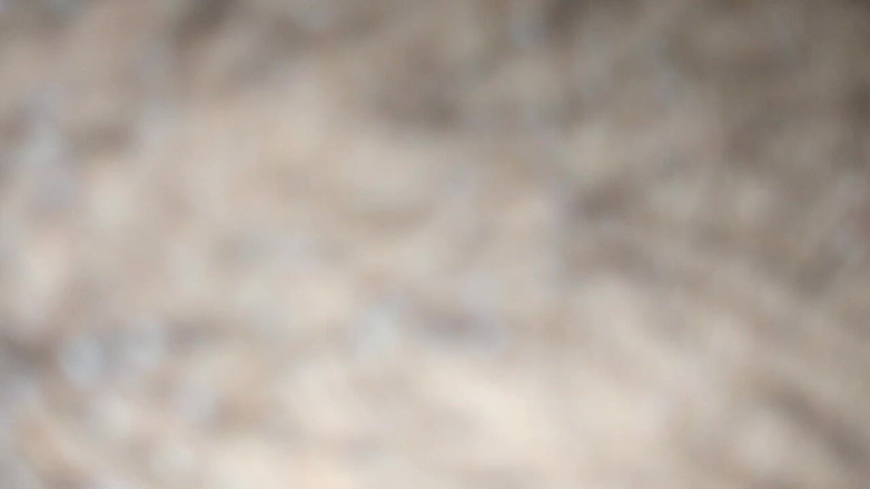 MST RUKAIA KHATUN: バングラデシュの村のガールフレンド ロマンチックなビデオ