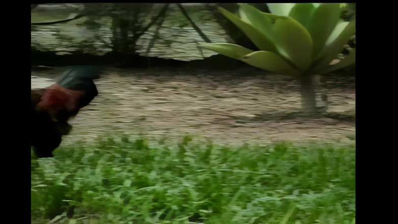 Shemale Vintage MegaStore: Trans Fickt Mann