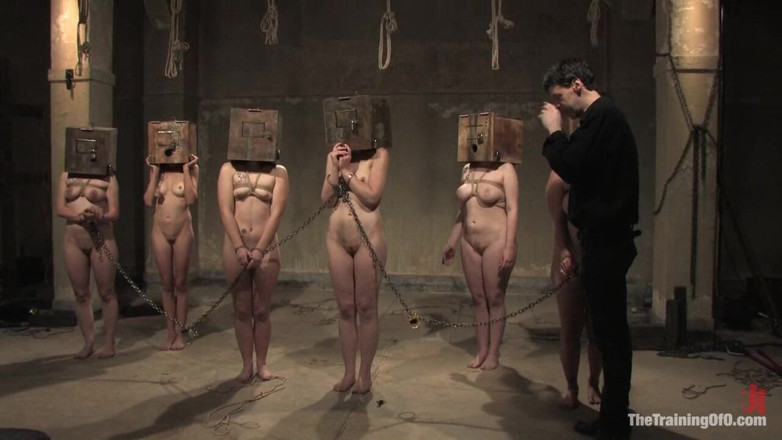 The Training of O by Kink: Las auditorías - parte tres