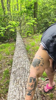 Menghisap Jerabu Di Dalam Hutan Memancut Pada Pokok Pada Lututnya