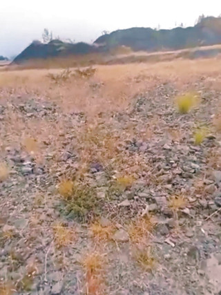 213san: Mexický voják ve službě masturbuje venku, zatímco jeho šéfové jsou pryč