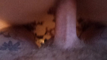 Zona901: I put it doggy style and fucked it well