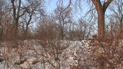 East Public: Ексгібіціоністи займаються сексом у снігу на очах у перехожих безсоромно