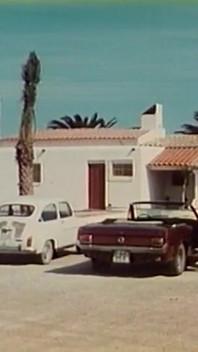 Sex fierbinte în Ibiza (1982)
