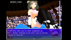 Boko Fan: Ultimate Fighting Girl Type a (normální) (boko877)