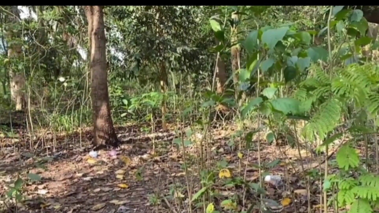 TheBlacKHunterr: 일꾼과 그의 조력자