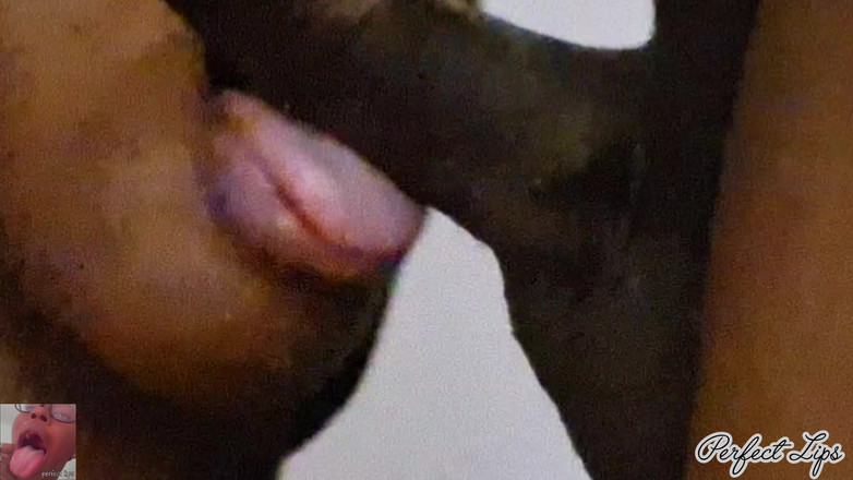 Pperfect lips: Bibir lembut menghisap zakar super selamba