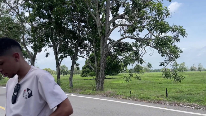 Yohamedi: Meia-irmã a fez querer chupar pau em uma estrada enquanto...
