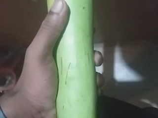 World simon: Šukání při honění