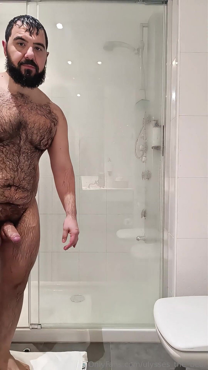 Ulysses the bear: 濡れた体だけで、あなたの想像力