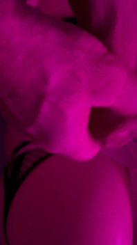 Original Assparadies