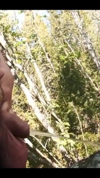 Foreskin Pisser