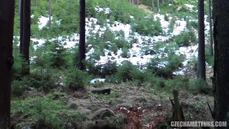 CzechAmateurs: Nghiệp dư Séc 98 chơi lỗ hậu trước khi em bé đến