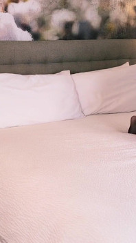 Suite Dreams: Post Conference Intimate Hookup and Oral Creampie