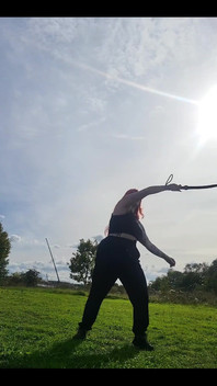 Some Bullwhip Practice in the Park