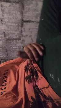 I Couldn't Make Porn