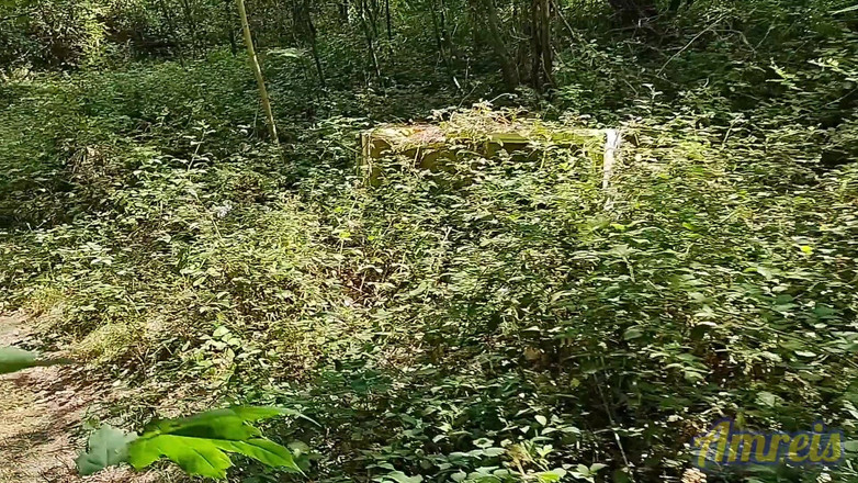 Amreis: Tôi tìm thấy một nơi để xuất tinh ngoài trời trong...