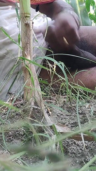 The Village Boy Went to the Cornfield and Hit Him Hard