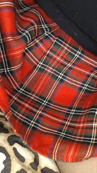 Panty in mijn rok poesje plagen