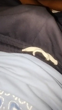 Už jsem to nevydržel a vyhodil jsem je