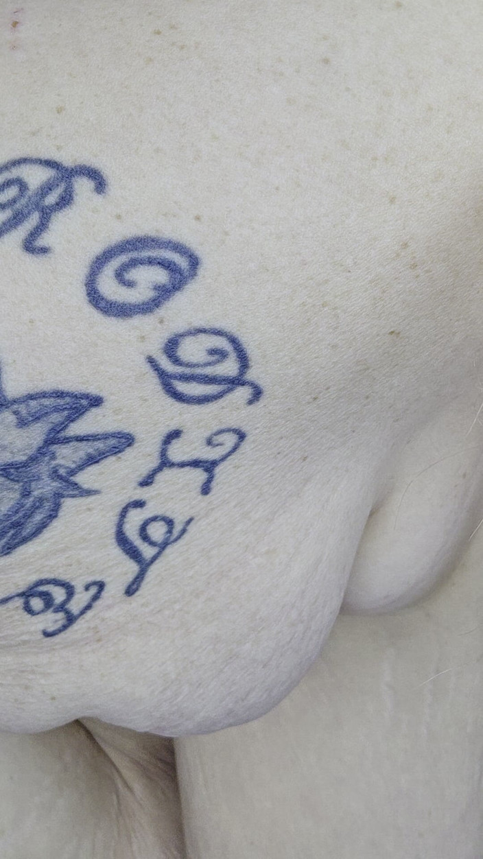 HerculesnVENUS: Muschi reiben und abspritzen