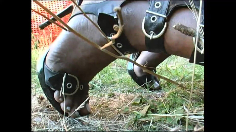 Planet Shemale: トランスジェンダーのクレイジーなセックス体験