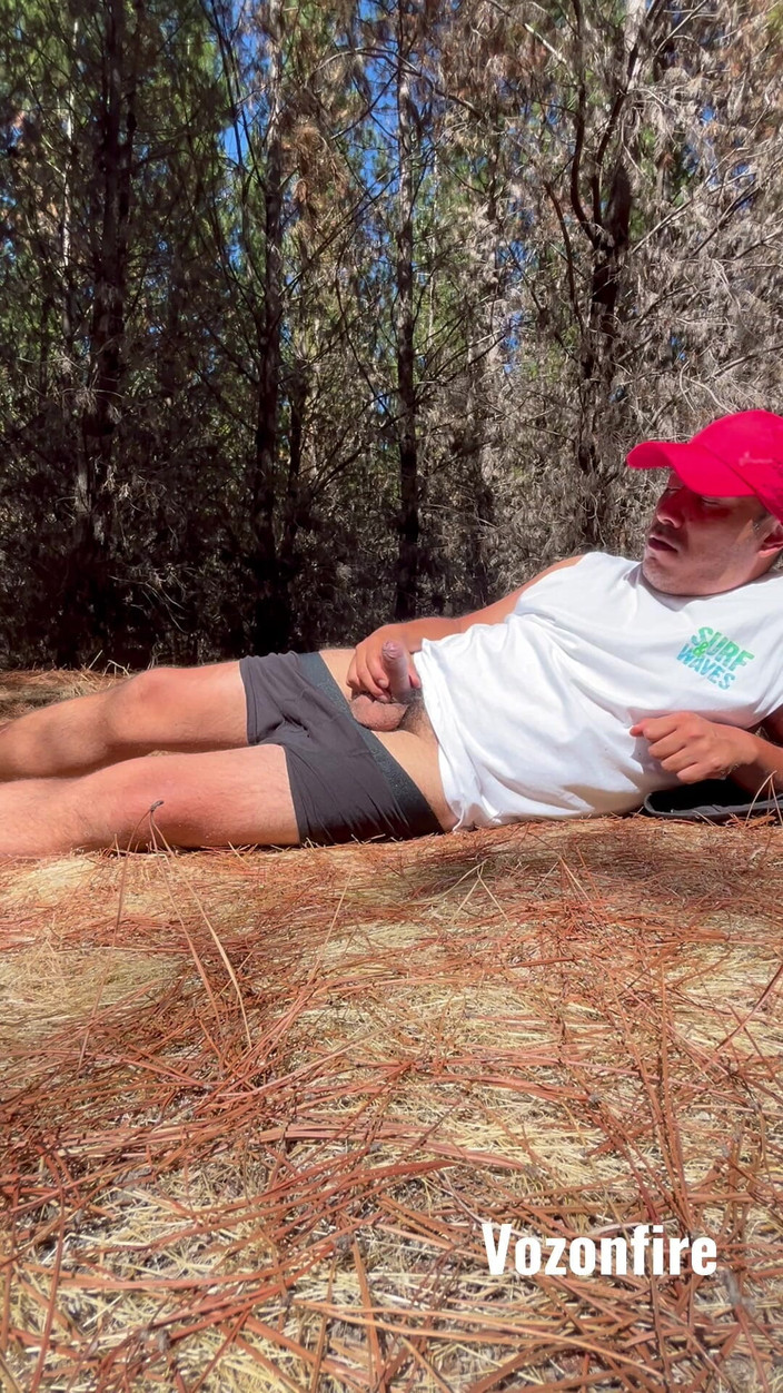 Hardnoisex: Точка зору: У Таємному лісі наодинці