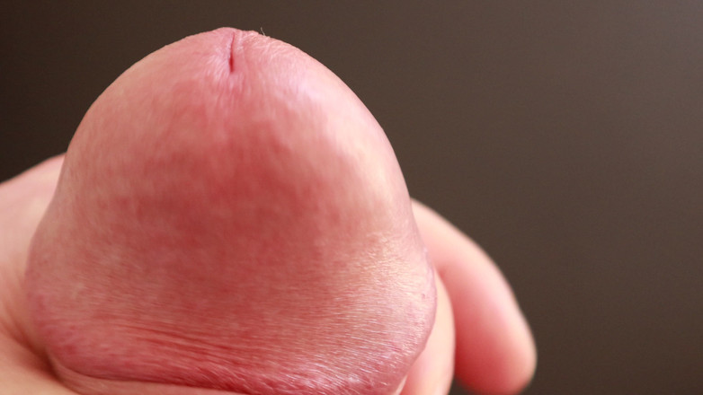 Rocco741: ビッグ・コック